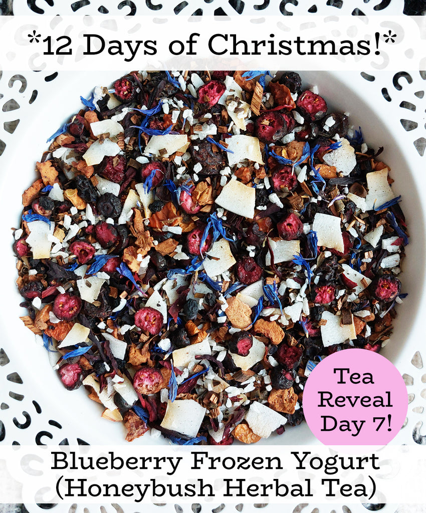 Blueberry Frozen Yogurt (Honeybush Herbal Tea)